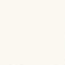 Панель СП 670 Белый металлик (400 EKRU WHITE) 2800*1220*18